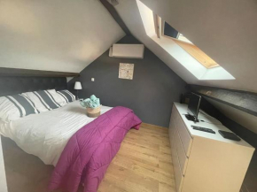 Chambres 4 personnes 3 lits et SDB et terrasse privatives sur Choisy le roi